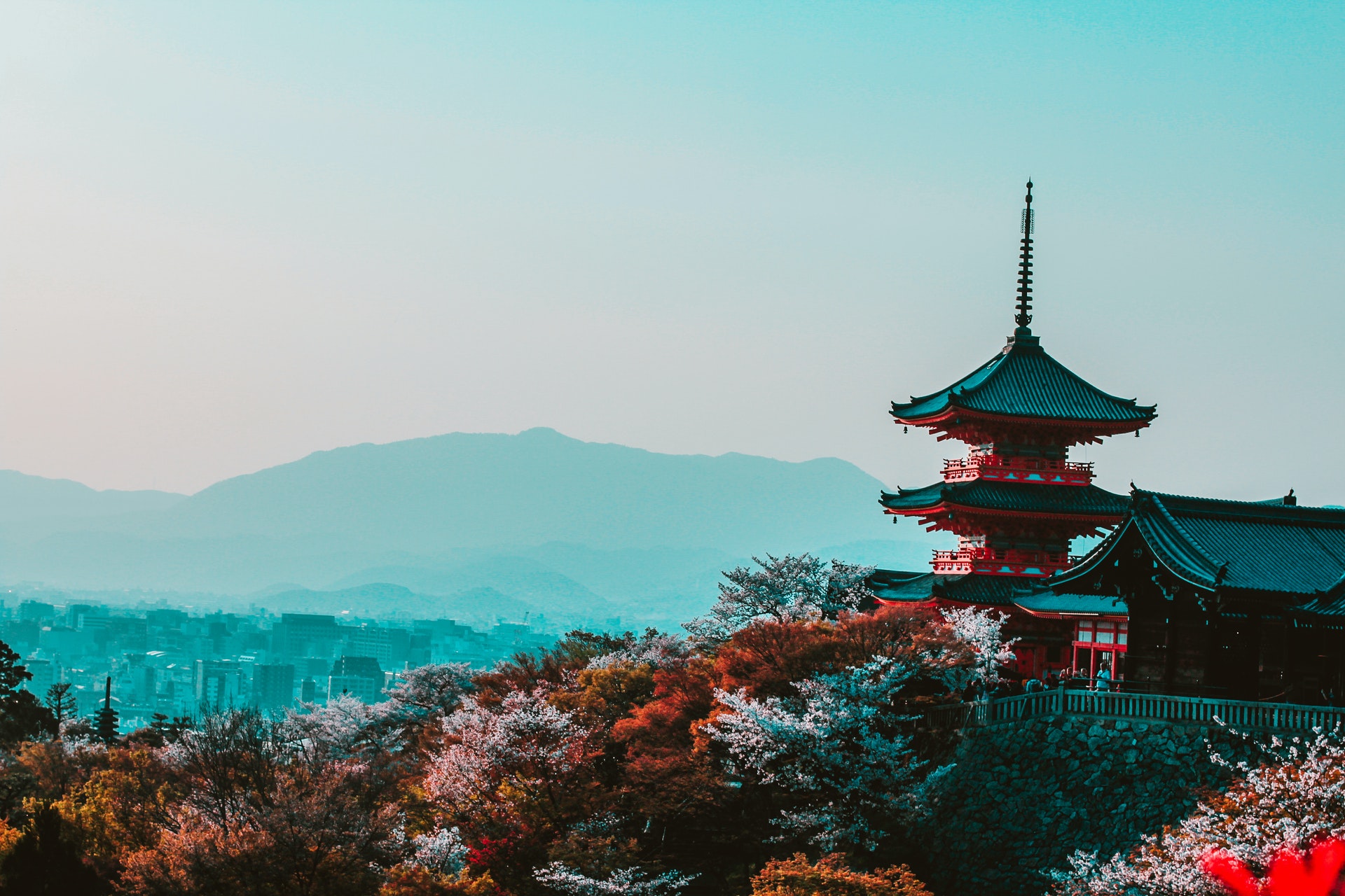 Voyage au japon : quel est le prix de ce voyage ?