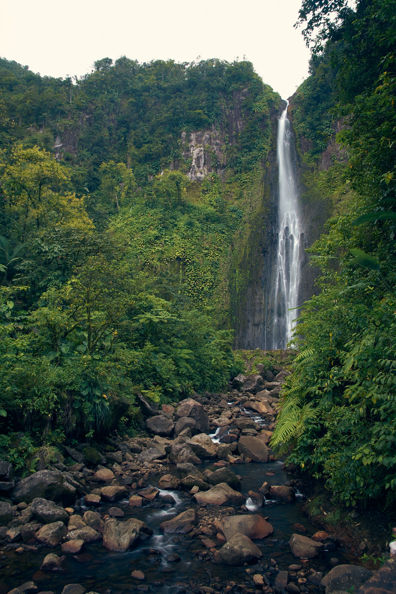Profitez des cascades vertigineuses de la Martinique